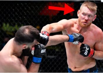 MMAnytt Sam Alvey