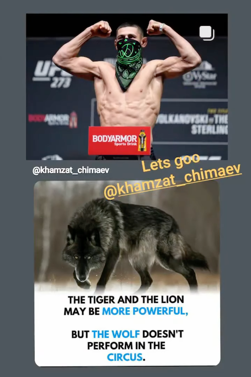 Zlatan Ibrahimovic Khamzat Chimaev