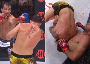 Bellator 282
