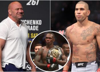 UFC