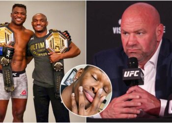 Dana White