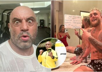 Joe rogan