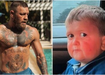 MMAnytt Conor McGregor Hasbulla