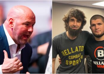 Zabit