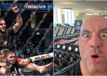 Joe Rogan