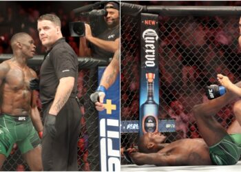 MMA News - BeFunky-collage-11