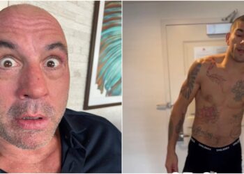 Joe Rogan