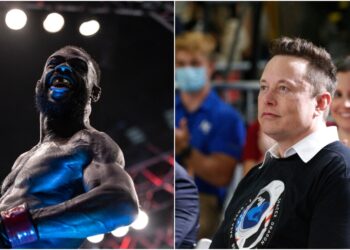 Aljamain Sterling & Elon Musk