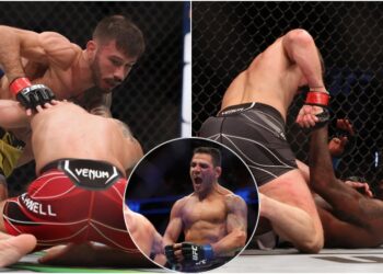 UFC-fighters