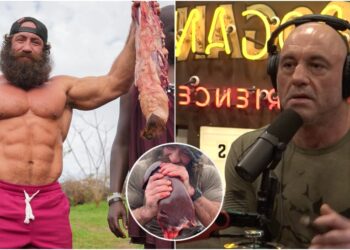 Joe Rogan
