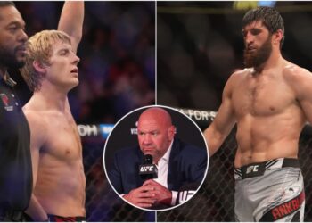 UFC 282