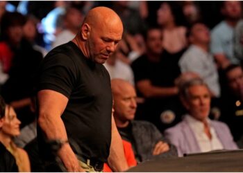 MMAnytt UFC Dana White