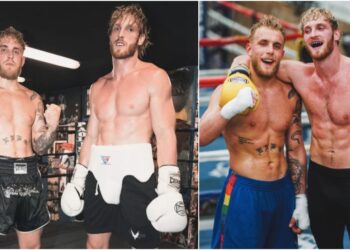 MMAnytt Logan Paul Jake Paul