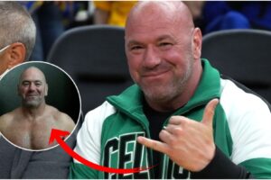 MMAnytt Dana White