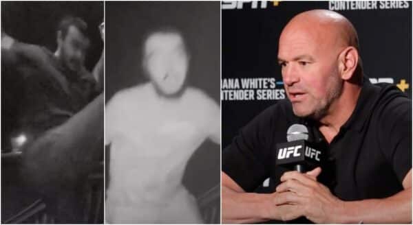 UFc-chefen Dana White MMA MManytt UFC