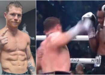Canelo Alvarez boxning boxing