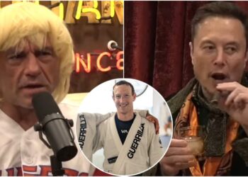 Joe Rogan Elon Musk Mark Zuckerberg UFC MMA MManytt