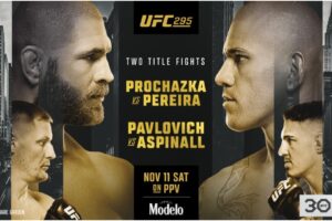UFC 295 (1)