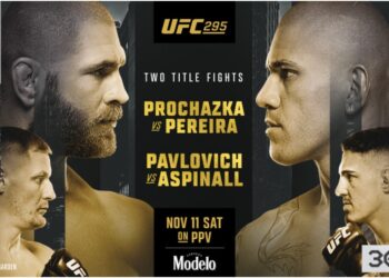 UFC 295 (1)