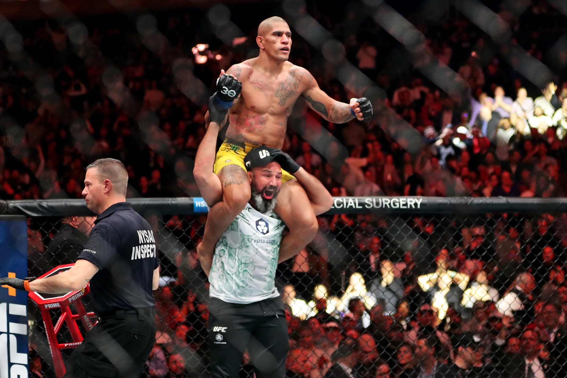 MMA: UFC 295 – Prochazka vs Pereira