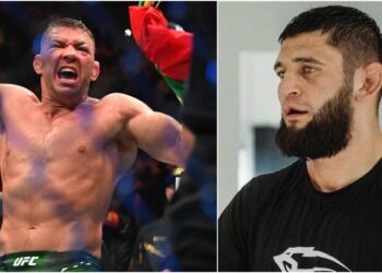 Khamzat Chimaev Du Plessis