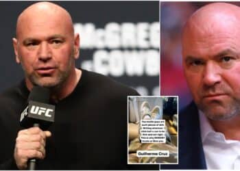 Dana White UFC