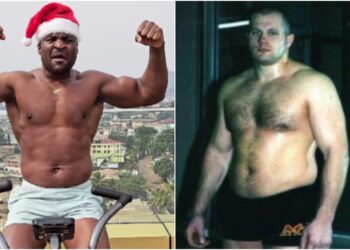 MMAnytt Francis Ngannou Fedor Emelianenko