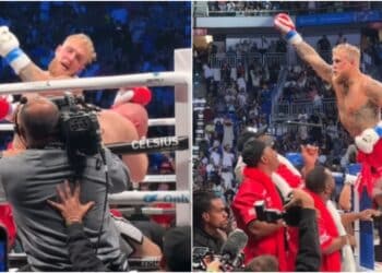 Jake Paul Boxning
