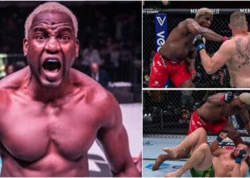 Robelis “The Big Boy” Despaigne UFC