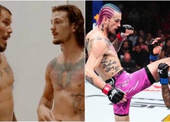 Sean O'Malley