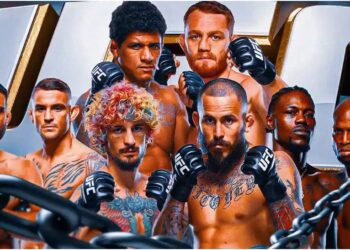 UFC 299