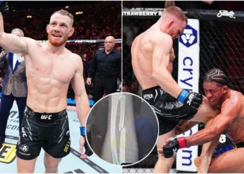 UFC 299