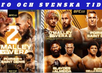 UFC 299