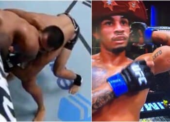 UFC Bite Night