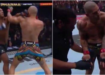 MMA News - 461c055f-e980-478d-ac34-67f779f072f6