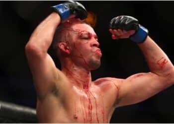 MMA News - gripna2