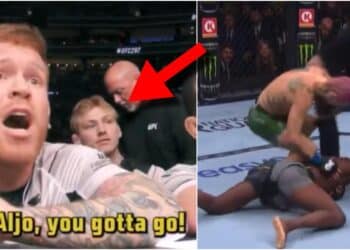 Aljamain Sterling Sean O'Malley UFC