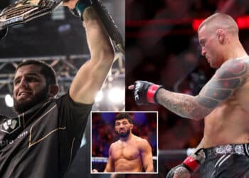 MMA News - Omslagsbild-MMAnytt-1000x547-1-1