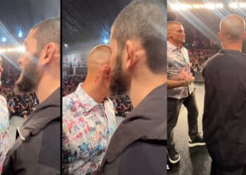 MMA News - Omslagsbild-MMAnytt-1000x547-13