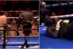 Deontay Wilder boxning