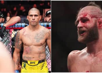 MMA News - Omslagsbild-MMAnytt-1000x547-2-12