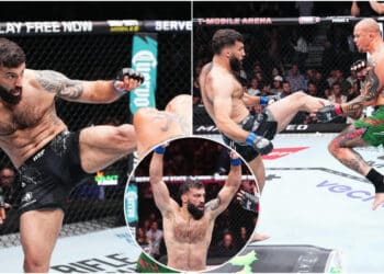 MMA News - Omslagsbild-MMAnytt-1000x547-2-20