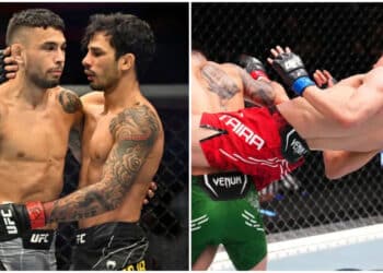 MMA News - Omslagsbild-MMAnytt-1000x547-2-3