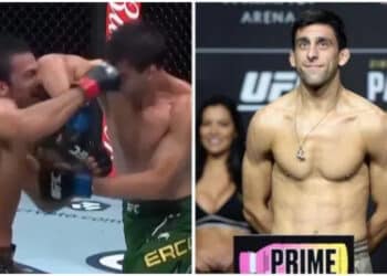 MMA News - Omslagsbild-MMAnytt-1000x547-2-5