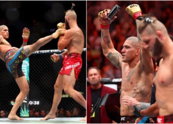 MMA News - Omslagsbild-MMAnytt-1000x547-1-4