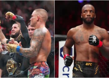 MMA News - Omslagsbild-MMAnytt-1000x547-1-7