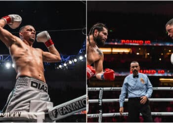 MMA News - Omslagsbild-MMAnytt-1000x547-3-1