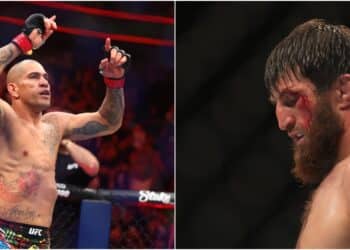 MMA News - Omslagsbild-MMAnytt-Pereira-vs-ankalaev