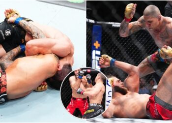 UFC