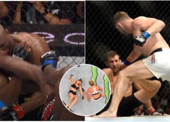 UFC fansen